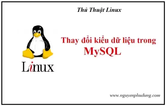 thủ thuật linux- Thay đổi kiểu dữ liệu Mysql an toàn