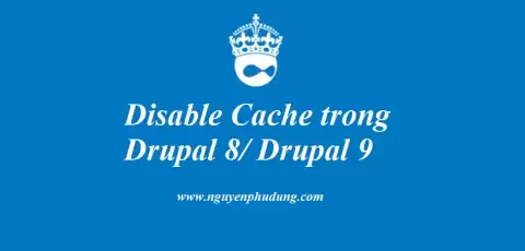 Disable Cache trong Drupal 8 Drupal 9