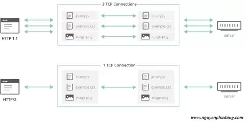 Multiplexing HTTP 1.1 và HTTP/2