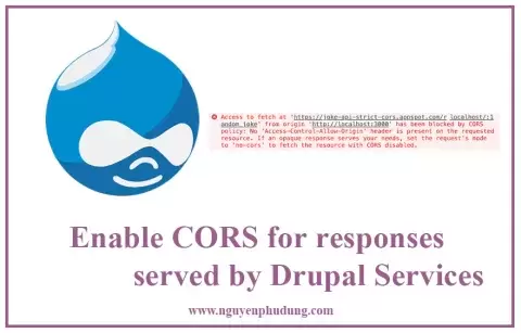 Enable CORS for responses served by Drupal
