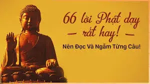 66 lời Phật dạy về cuộc sống