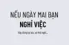 Nghỉ việc có nên không? 5 câu hỏi bạn cần trả lời trước khi nghỉ việc